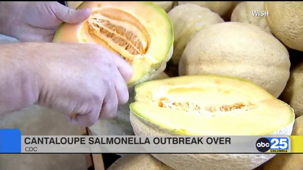 Cantaloupe Salmonella Outbreak Over