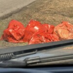 Bamberg Cleanup 3