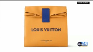 This ‘sandwich Bag’ That Costs More Than $3000