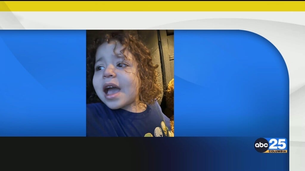 Wandering Toddler