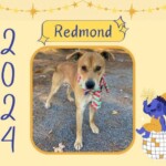 Redmond