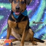 Hunter