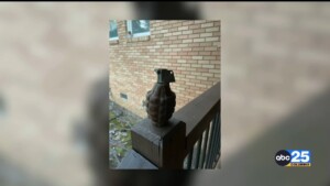 Grenade Ini Backyard