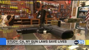 Study: Ca, Ny Gun Laws Save Lives