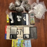 Chapin Police Bust