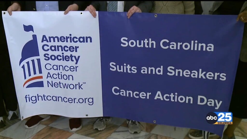 "we Could Save Lives" American Cancer Society In Sc Calls For Additional Funding, Medicaid Expansion
