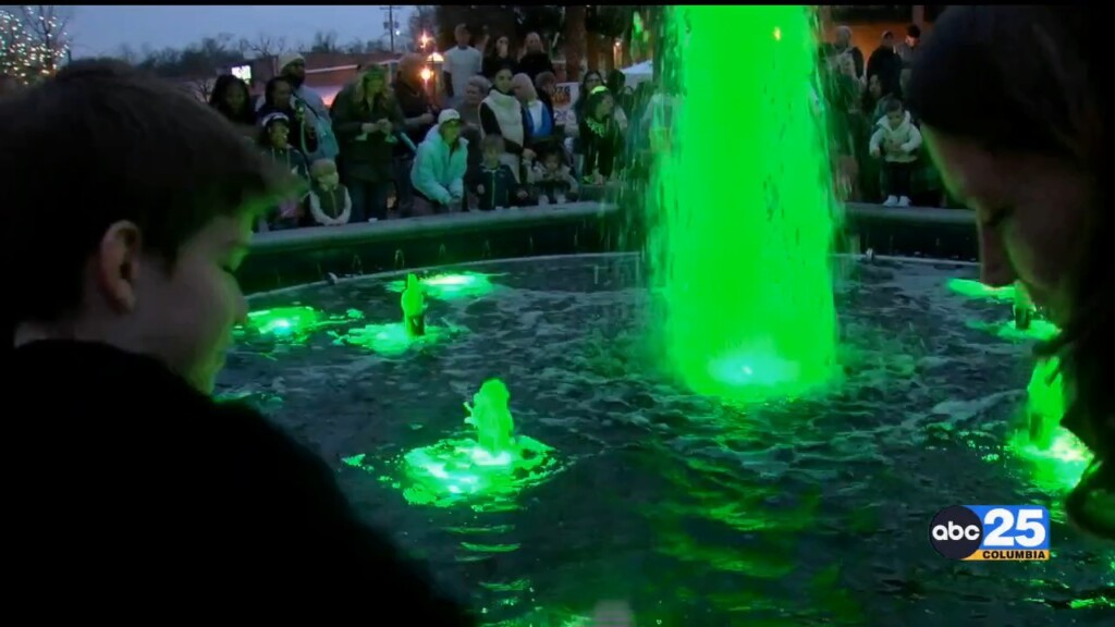 St Pats Pkg