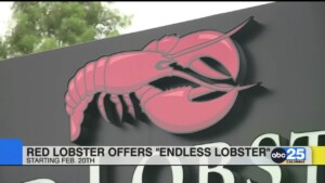 Red Lobster Contest