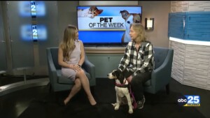 Grace Pet Of The Week