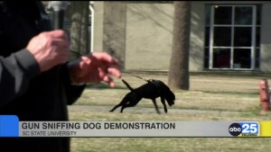 Sc State Getting Gun Sniffing Dogs