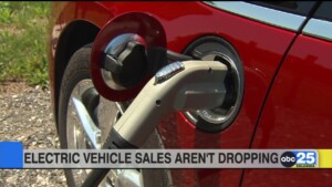 Electric Vehicle Sales Aren't Dropping