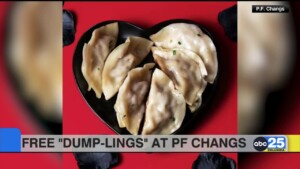 Free "dump Lings" At Pf Changs
