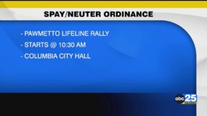 Pawmetto Lifeline Rally