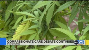 Compassionate Care Debate Continues