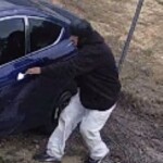 Lex Theft 1