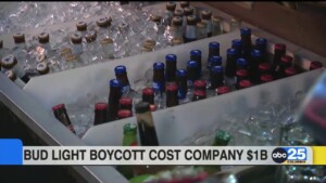 Bud Light Boycott Cost Company $1b