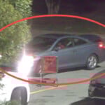 Lpd Shoplifter 5
