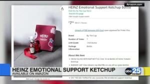Heinz Emotional Support Ketchup