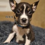 Ella