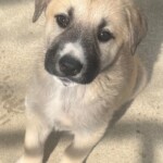 Winnie