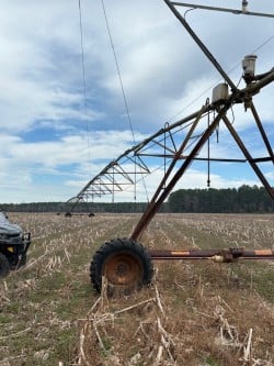 Sumter And Clarendon County Farmers