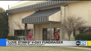 "love Stinks" V Day Fundraiser