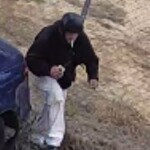 Lex Theft 2