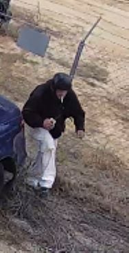Lex Theft 2