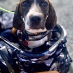 Waylon