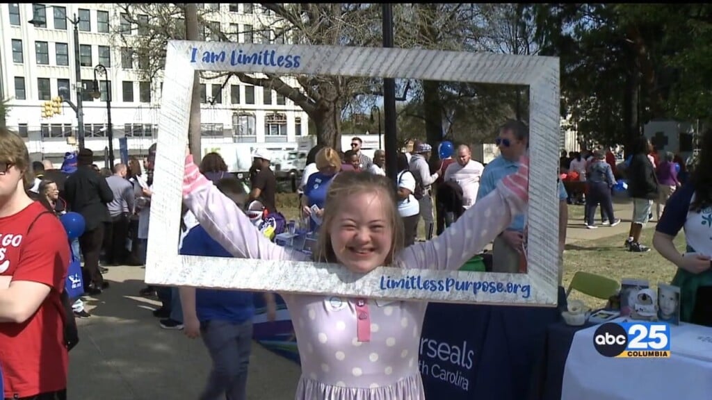 Hundreds Attend "disability Advocacy Day" At The Statehouse