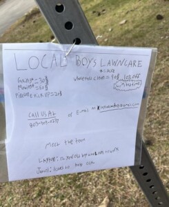 Local Boy Lawn Company