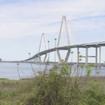 Charleston's Ravenel Bridge