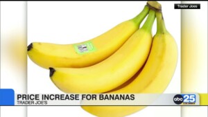Trader Joe's Increases Prices For Bananas