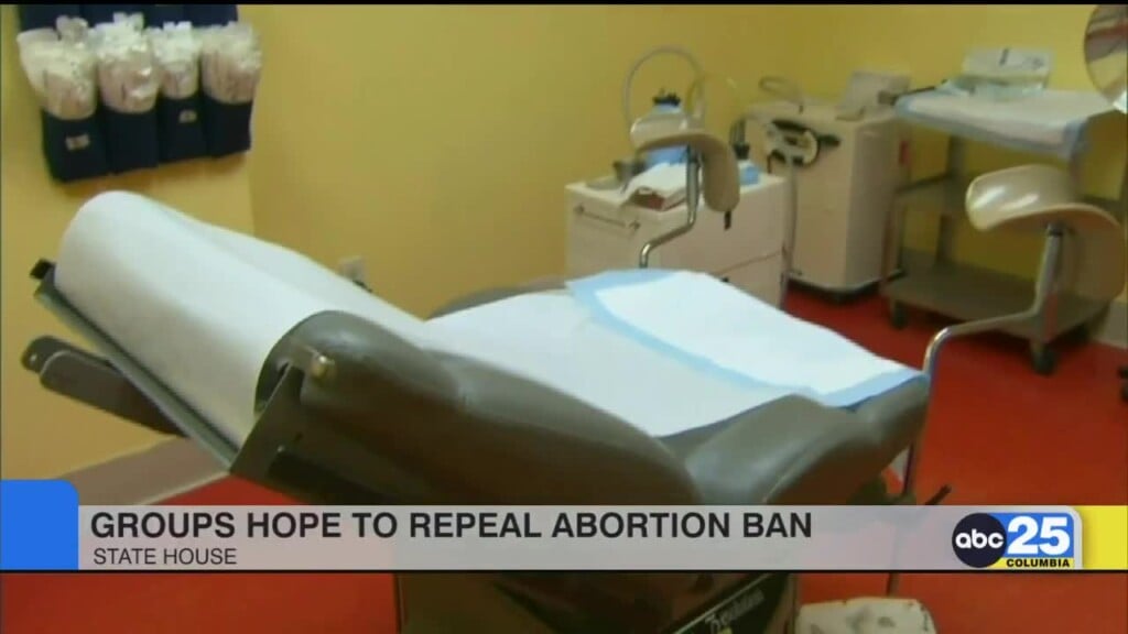 Group Hopes To Repeal Abortion Ban