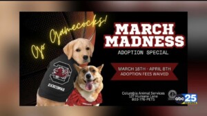 Columbia Animal Services Adoption Special