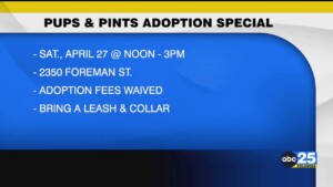 Pups & Pints Adoption Special