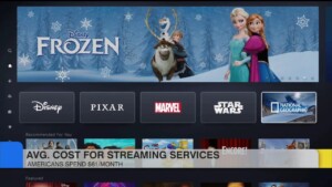 Average Cost For Streaming Services