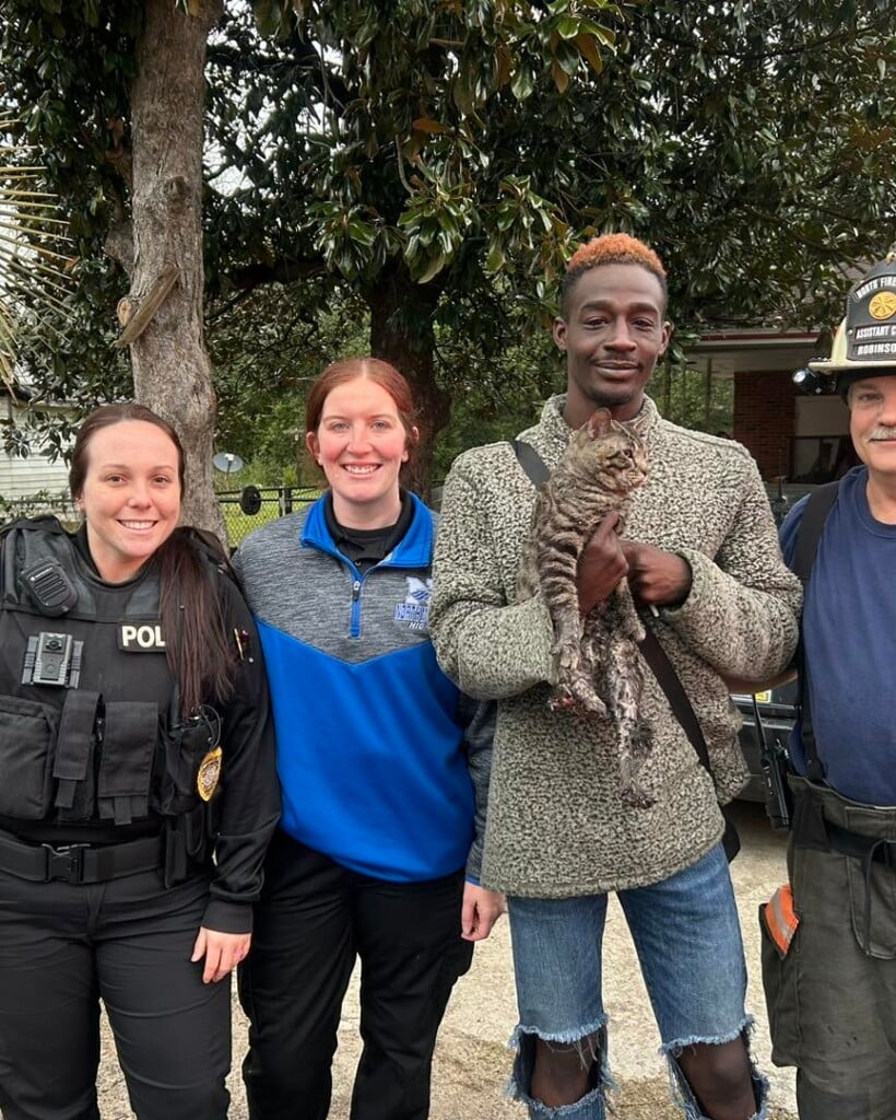 Orangeburg Cat Rescue 2