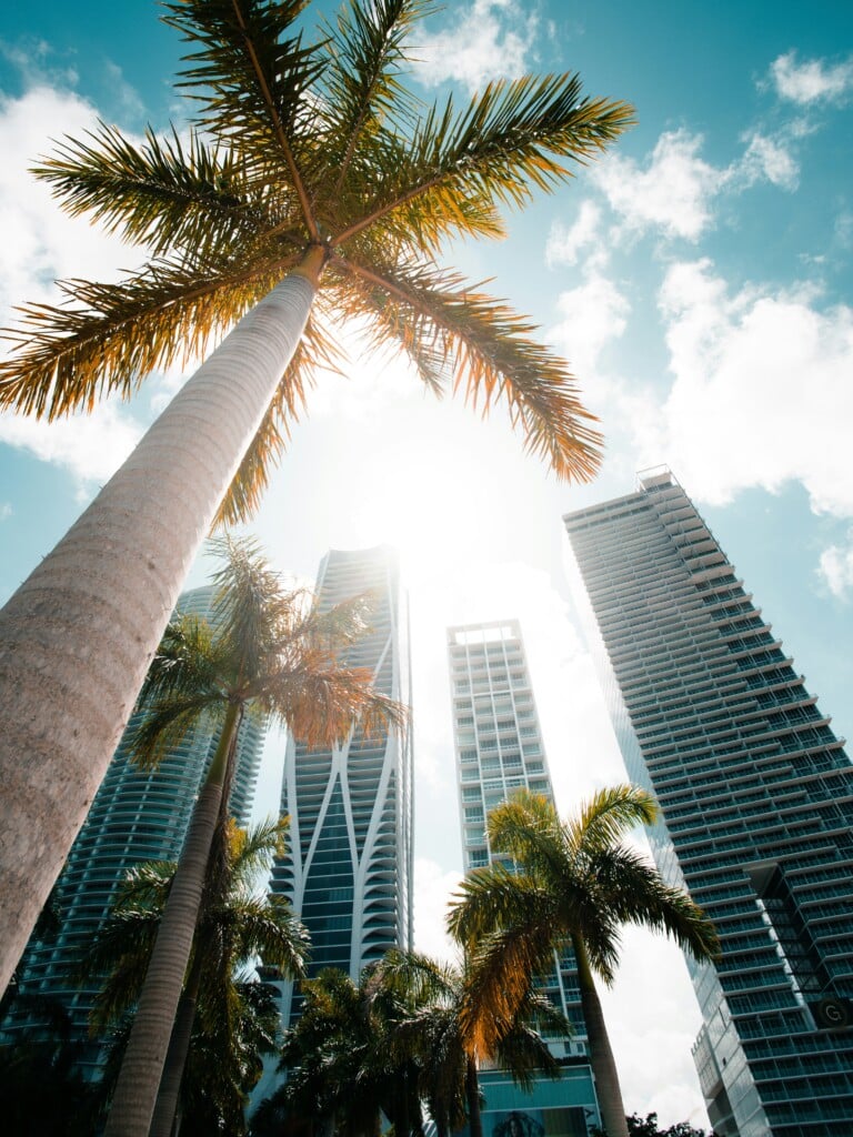 Mia 2