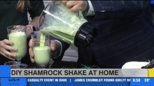 Diy Shamrock Shake