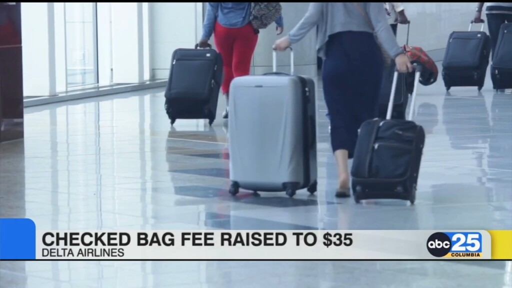 Delta Airlines Goes Up On Checked Baggage Fees