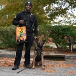 The Richland County Sheriff’s Department is investigating after deputies were involved in an officer-involved shooting that injured a K9 dog and suspect.