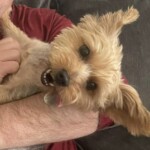 Spunky