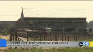 Ground Beef Tests Positive For E Coli