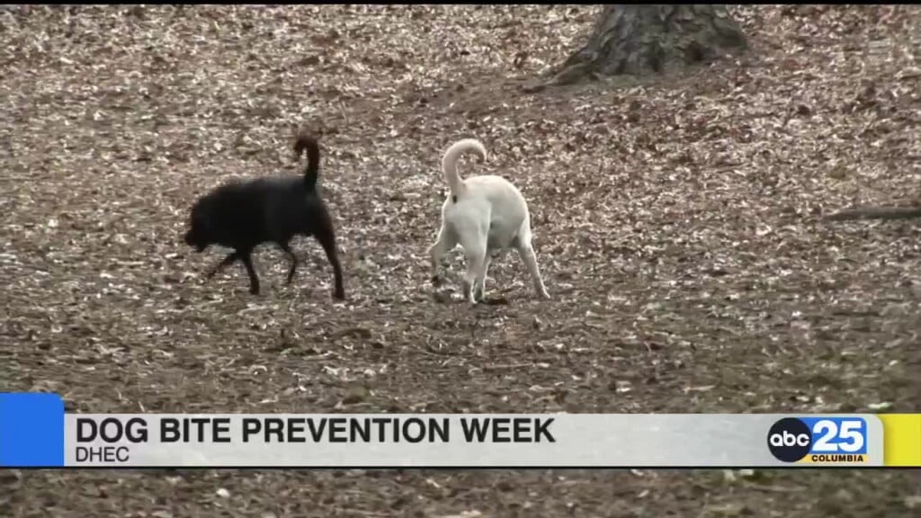 Dhec Dog Bite Prevention