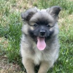 Baxter