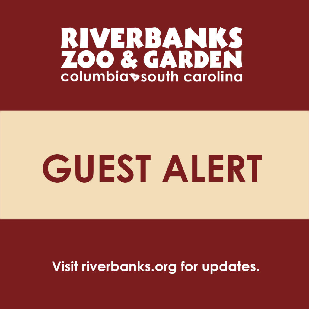 Riverbanks Zoo