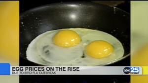 Egg Prices Are Rising Again