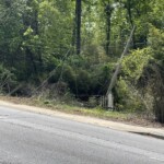 Downed Powerlines 1