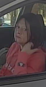 Lexington Fraud Checks 1